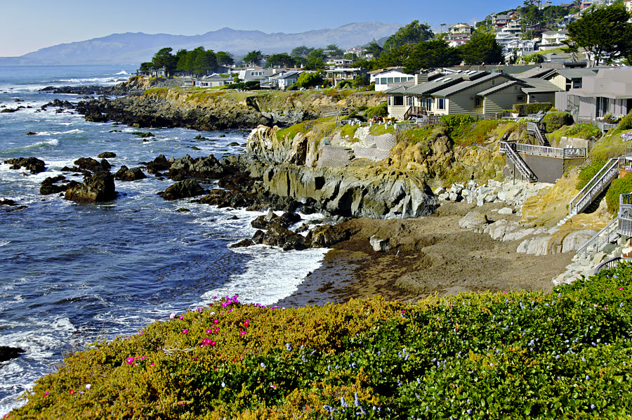 Cambria Coast #4